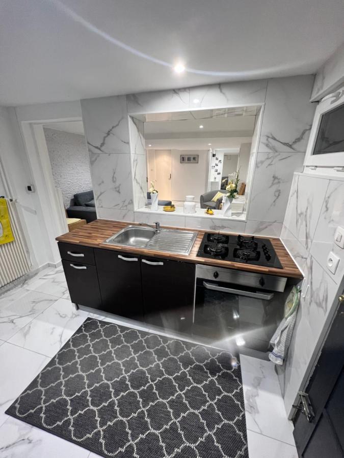 Appartement Proche Marche De Noel De Strasbourg Wolfisheim Zewnętrze zdjęcie